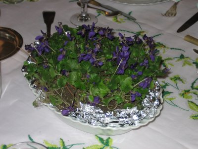 violettes